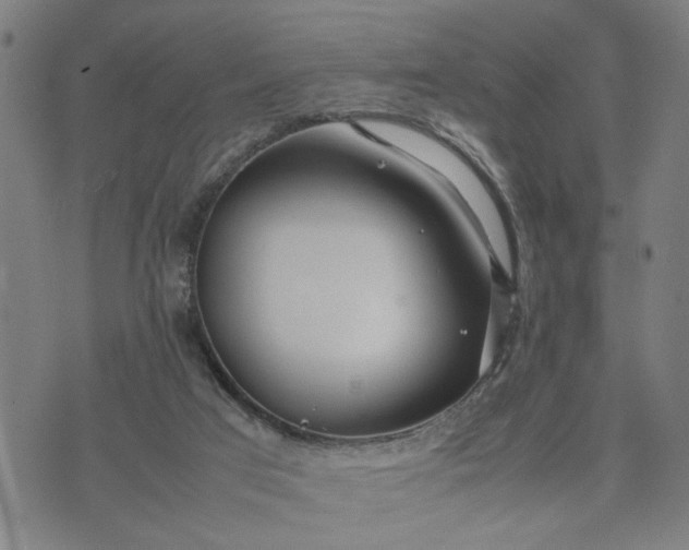 X0000074230017200609081632