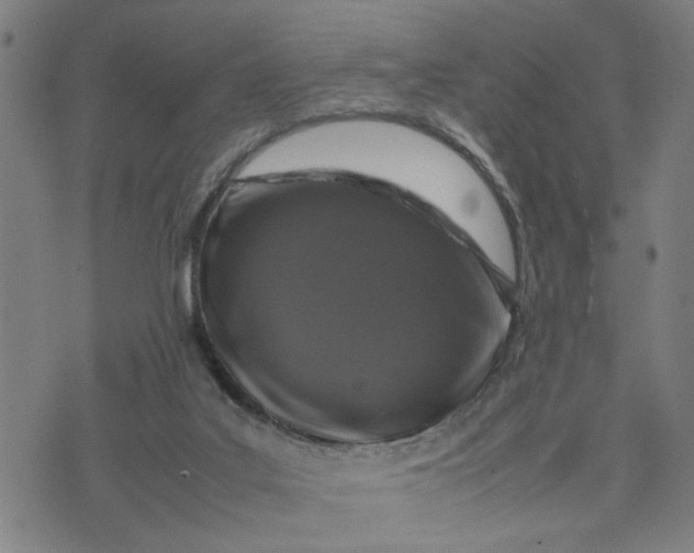 X0000074230019200609081632