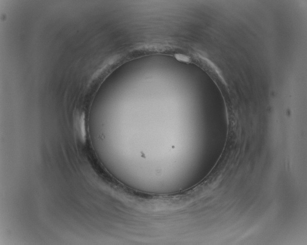 X0000074230020200609081632