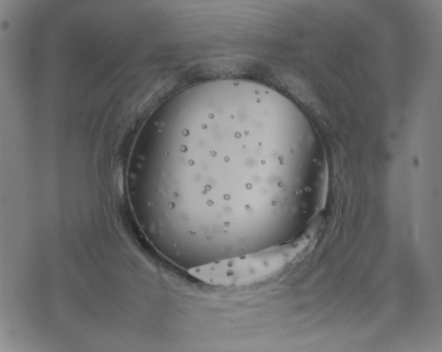 X0000074230021200609081632