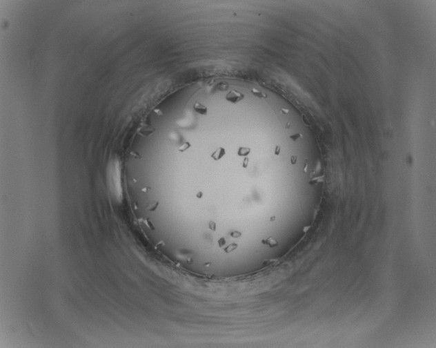 X0000074230022200609081632