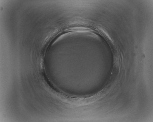 X0000074230023200609081632