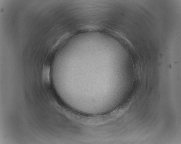 X0000074230024200609081632