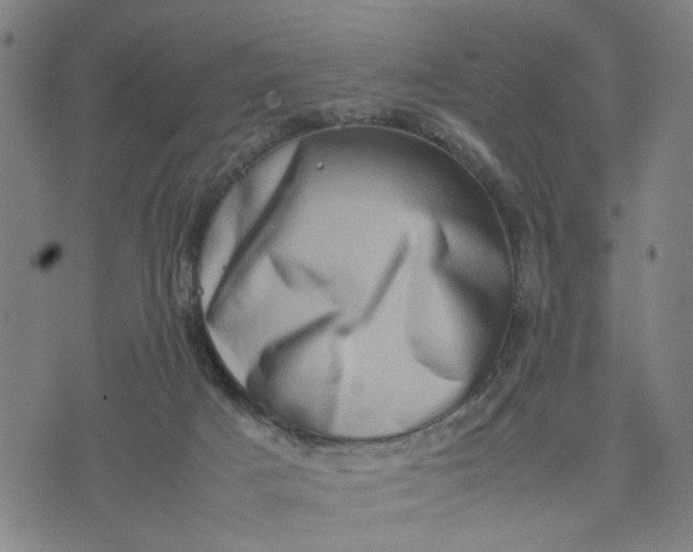 X0000074230025200609081632