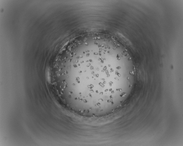 X0000074230026200609081632