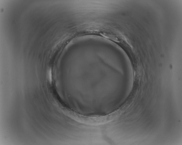 X0000074230027200609081632