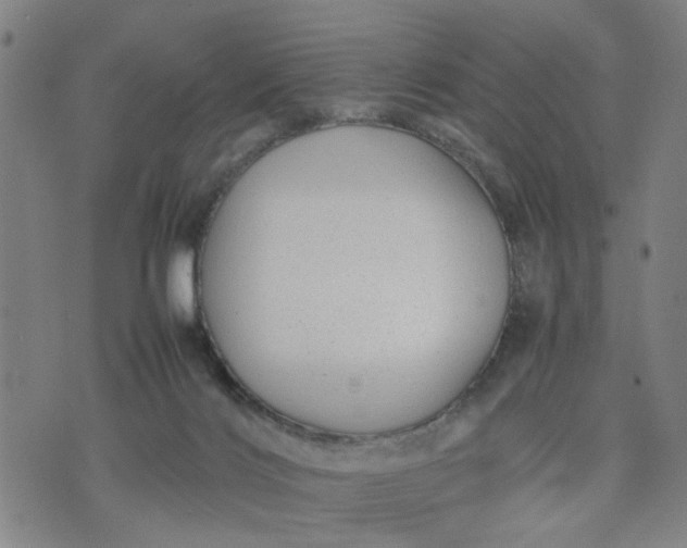 X0000074230028200609081632