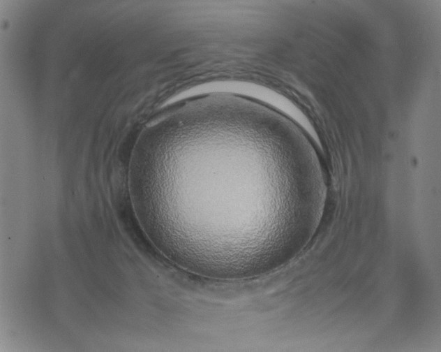 X0000074230029200609081632