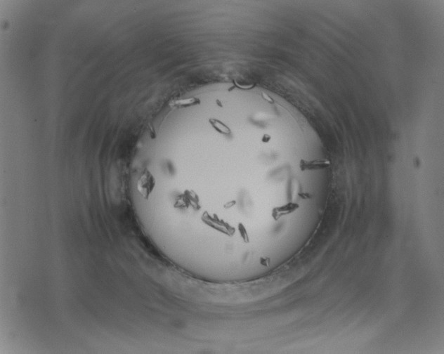 X0000074230030200609081632