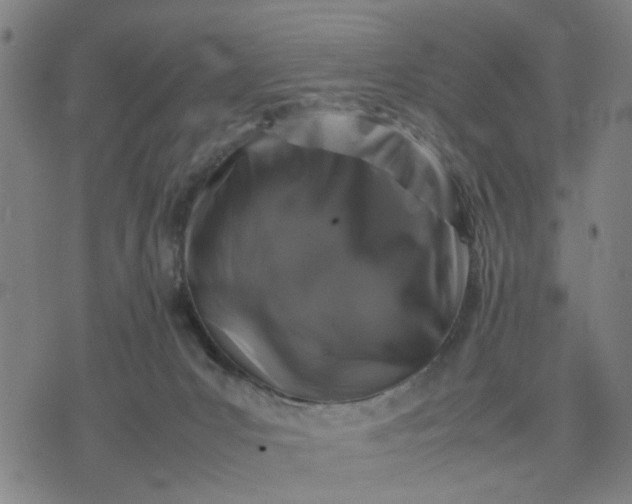 X0000074230031200609081632