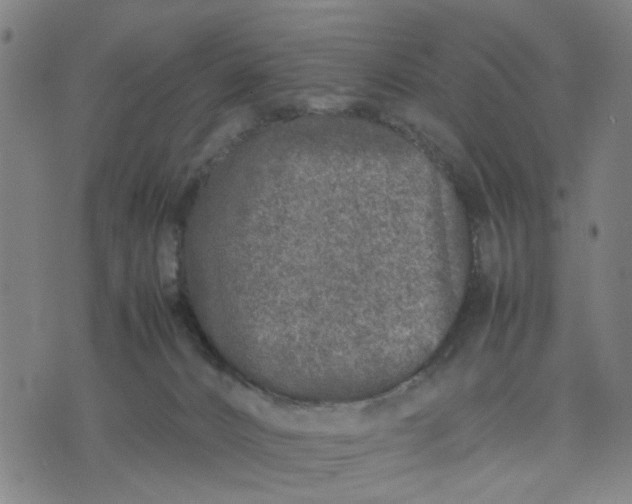 X0000074230032200609081632