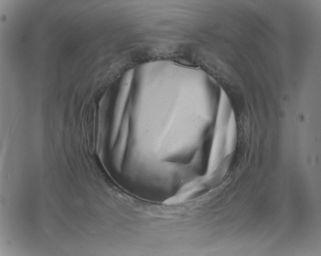 X0000074230033200609081632