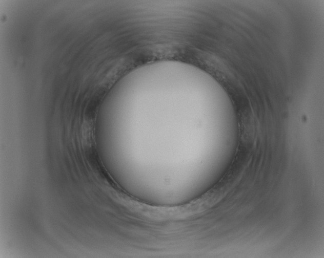 X0000074230034200609081632