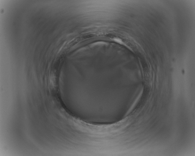 X0000074230035200609081632