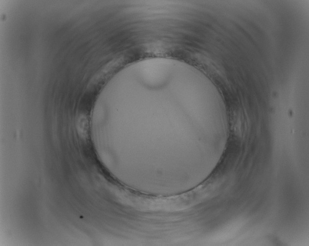 X0000074230036200609081632