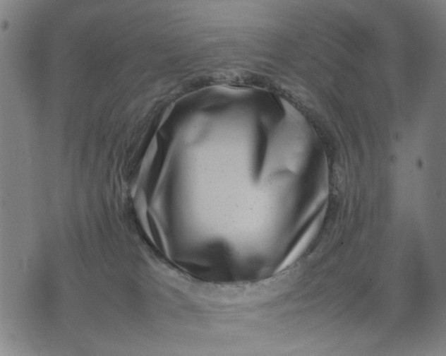 X0000074230037200609081632