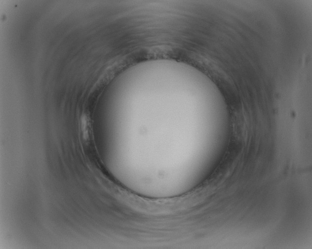 X0000074230038200609081632