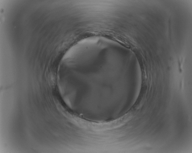 X0000074230039200609081632