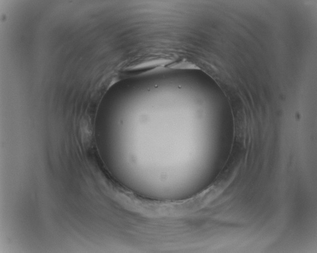 X0000074230040200609081632