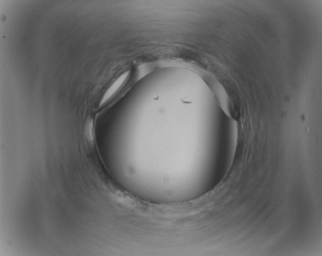 X0000074230041200609081632