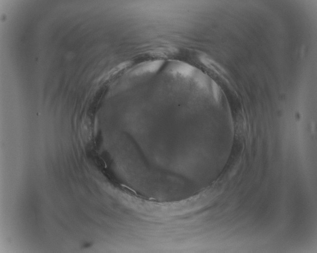 X0000074230043200609081632