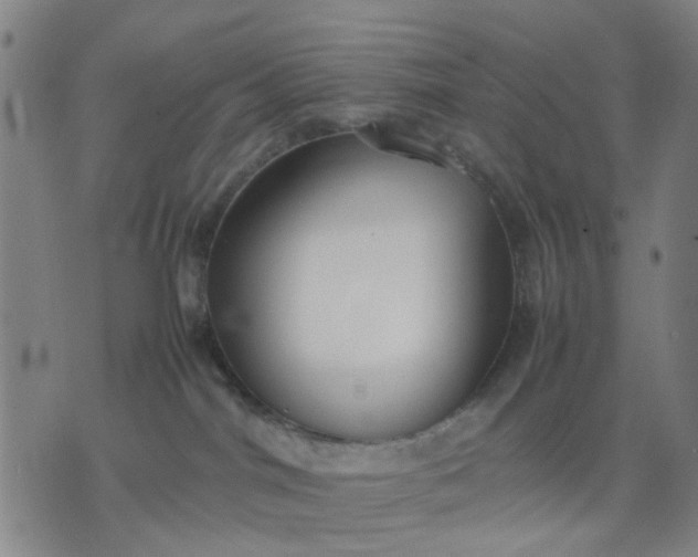 X0000074230044200609081632