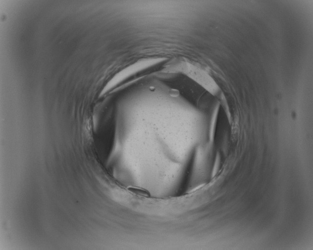 X0000074230045200609081632