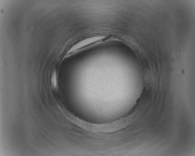 X0000074230046200609081632