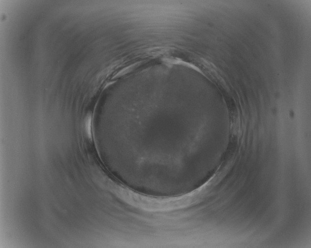 X0000074230047200609081632