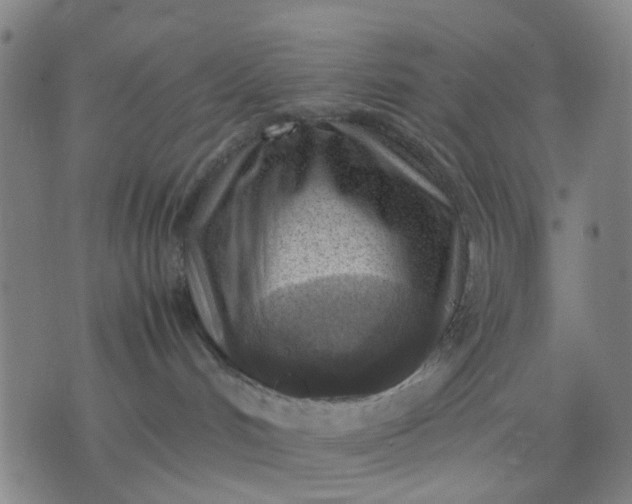 X0000074230048200609081632