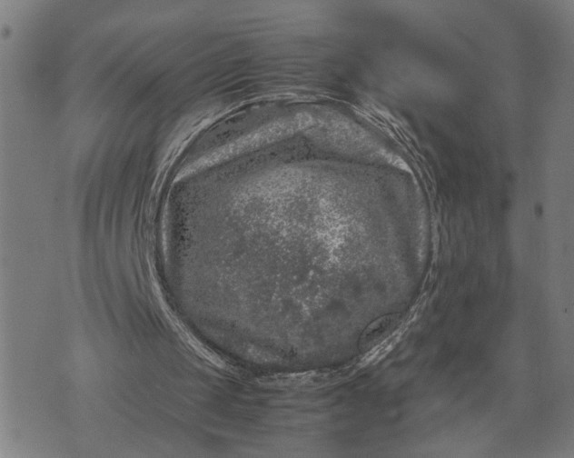 X0000074230049200609081631