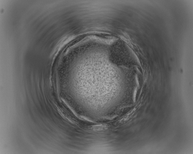 X0000074230050200609081631