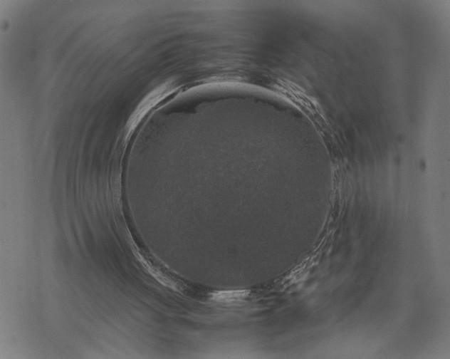 X0000074230051200609081631