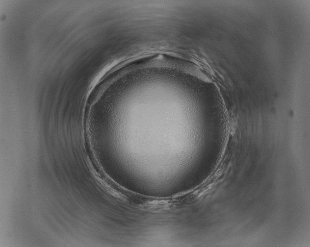 X0000074230052200609081631