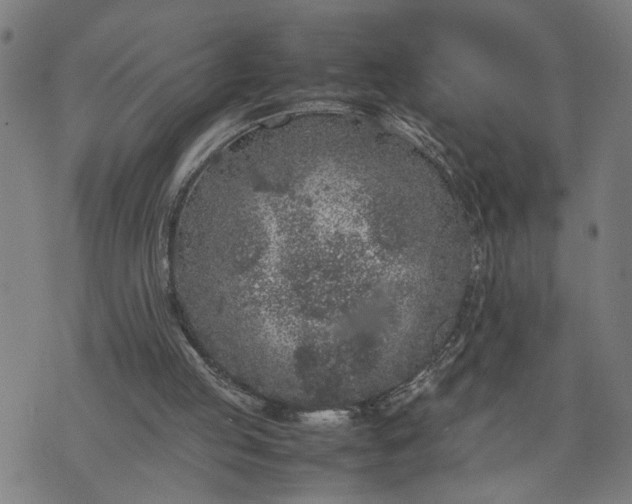 X0000074230053200609081631