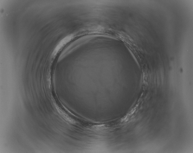 X0000074230054200609081631