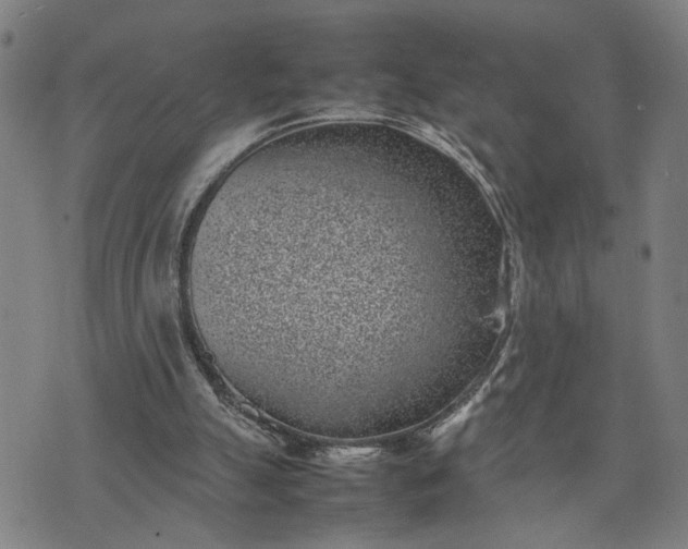 X0000074230055200609081631