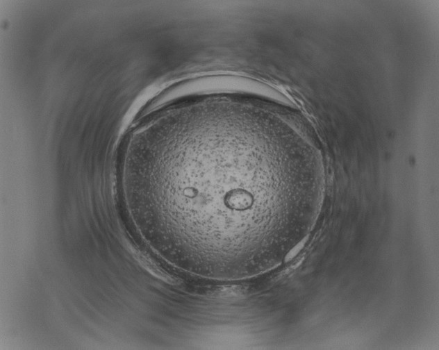 X0000074230056200609081631