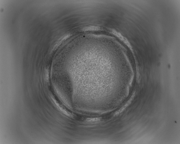 X0000074230057200609081631