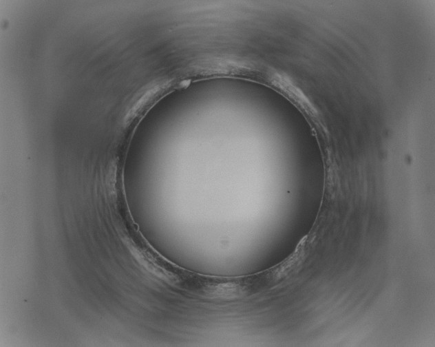 X0000074230058200609081631