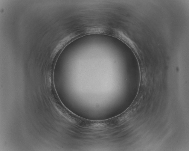 X0000074230059200609081631