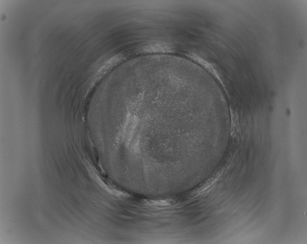 X0000074230061200609081631