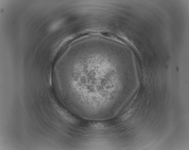 X0000074230062200609081631