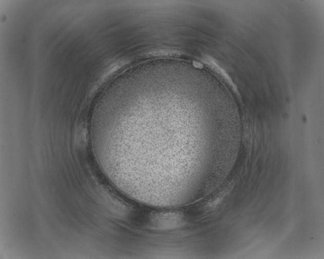 X0000074230063200609081631