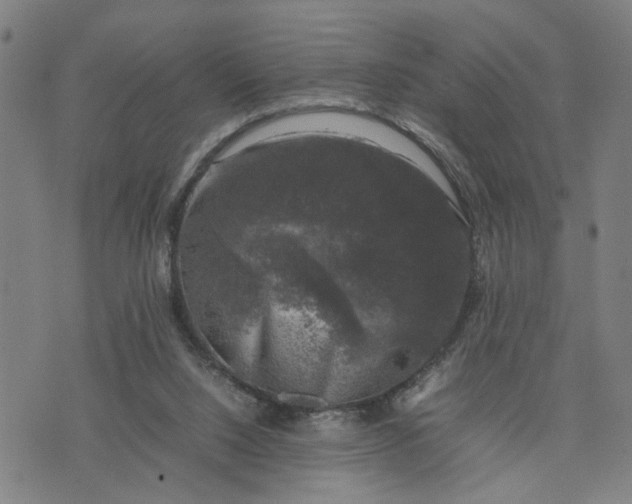 X0000074230064200609081631