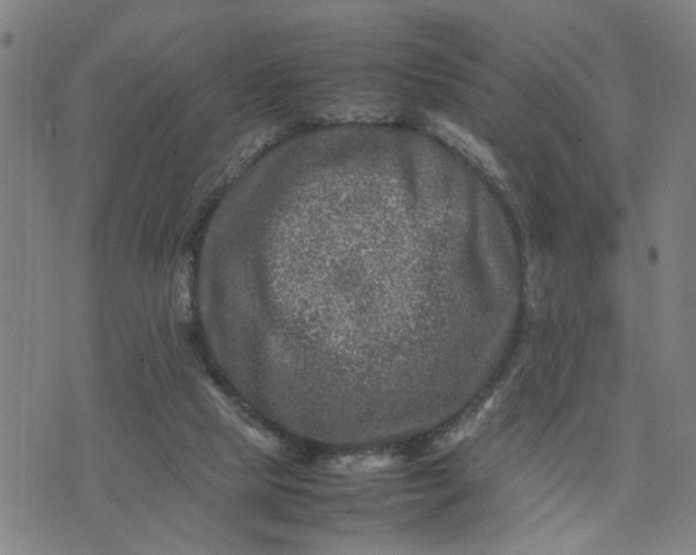 X0000074230065200609081631