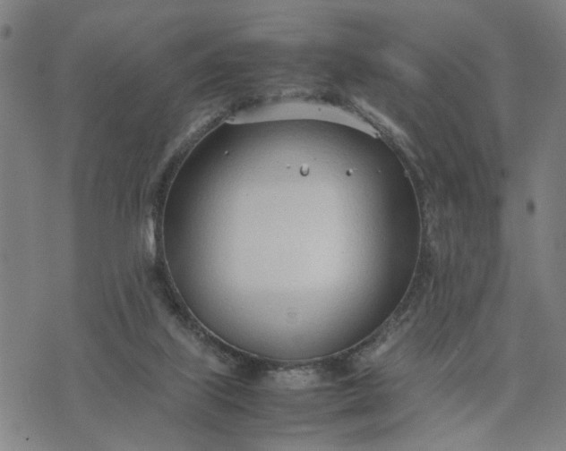 X0000074230067200609081631