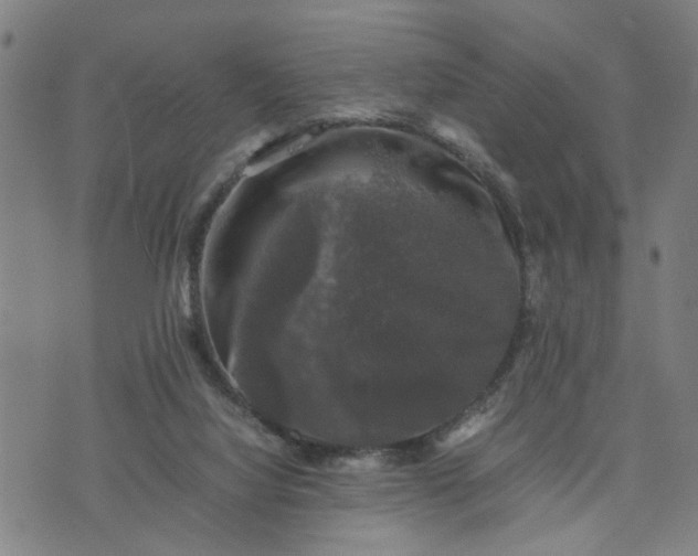 X0000074230068200609081631