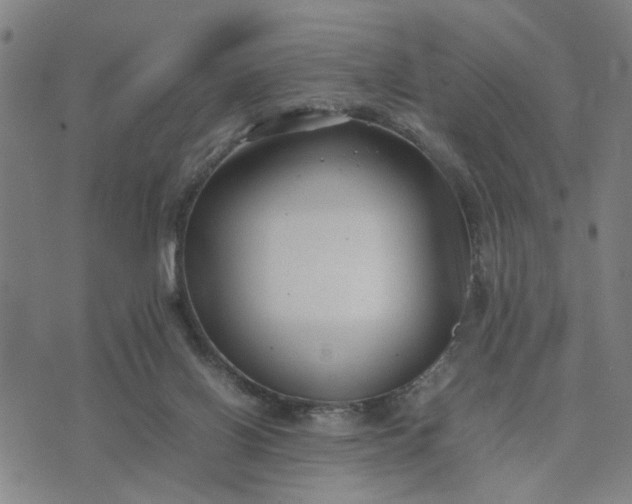 X0000074230070200609081631