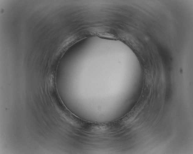 X0000074230071200609081631